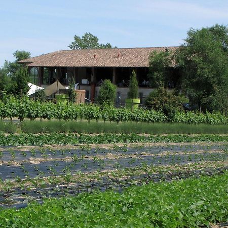 Agriturismo Cascina Caremma Besate Εξωτερικό φωτογραφία