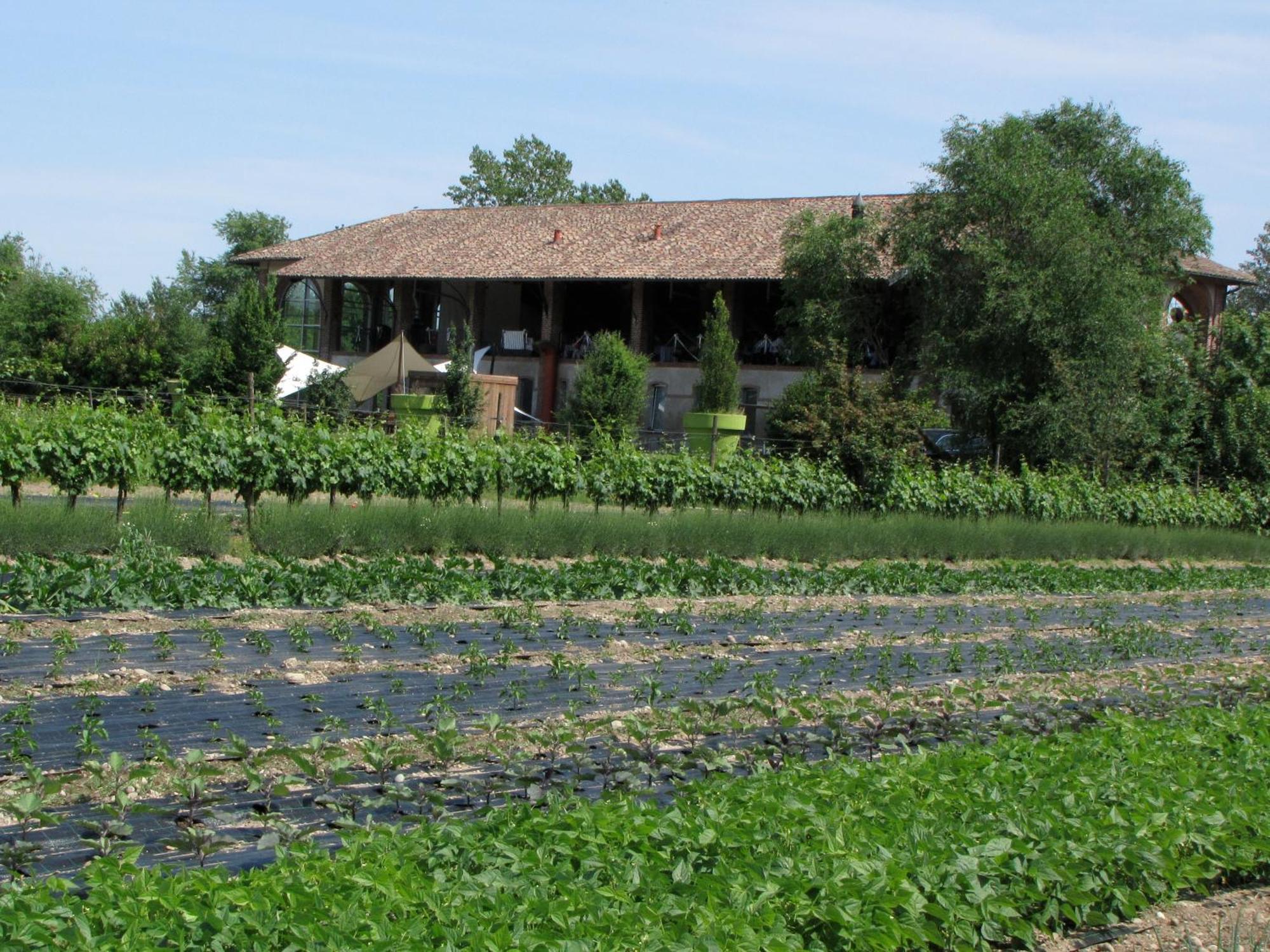 Agriturismo Cascina Caremma Besate Εξωτερικό φωτογραφία