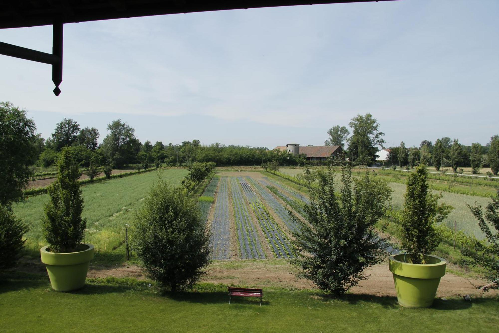 Agriturismo Cascina Caremma Besate Εξωτερικό φωτογραφία