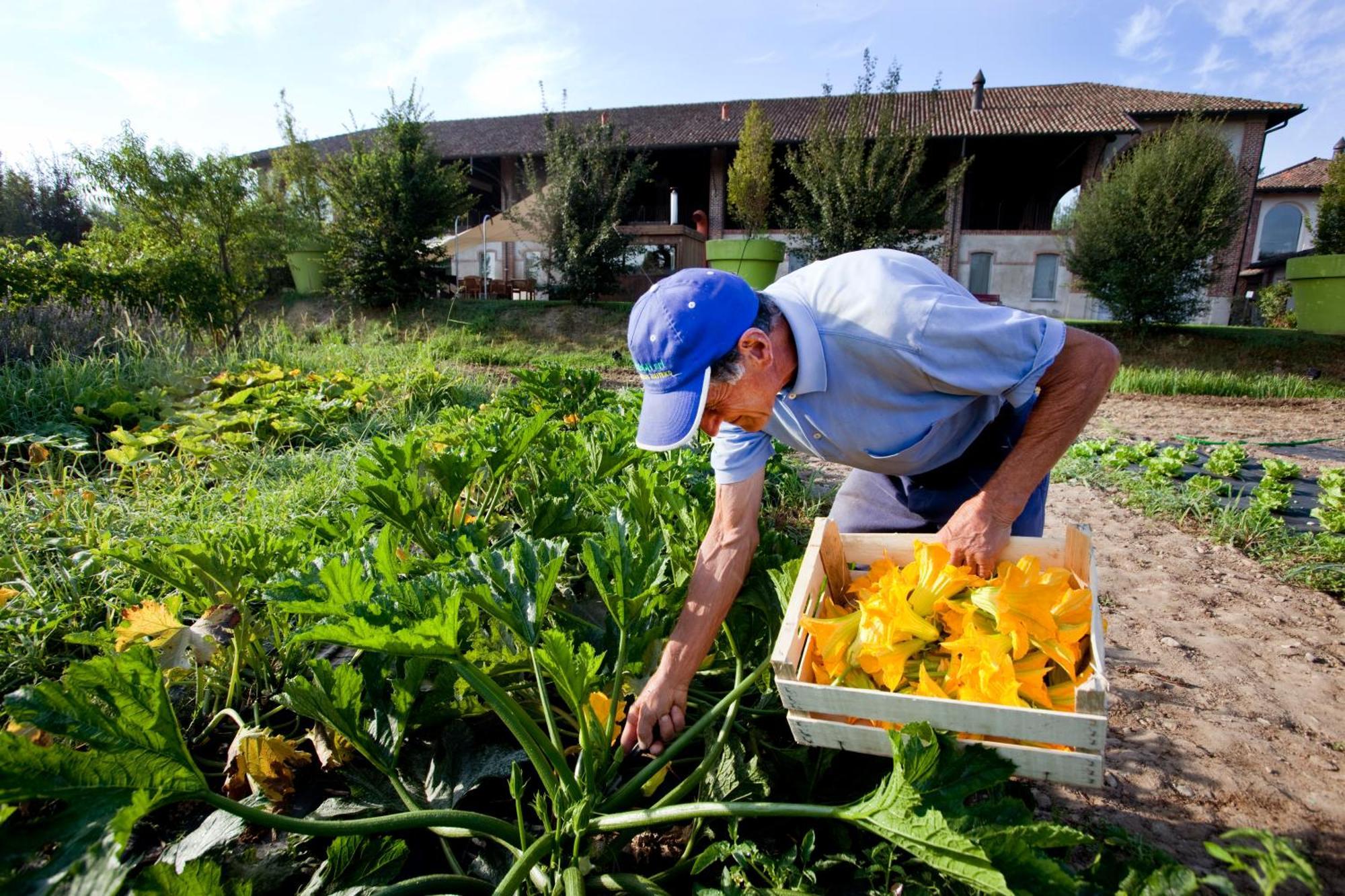 Agriturismo Cascina Caremma Besate Εξωτερικό φωτογραφία