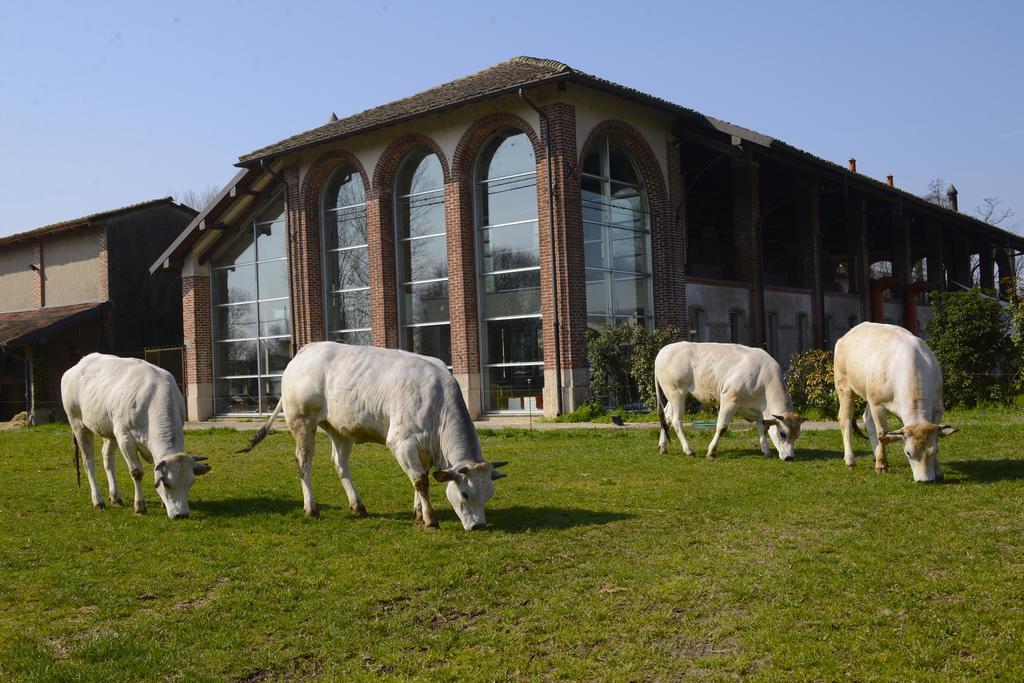 Agriturismo Cascina Caremma Besate Εξωτερικό φωτογραφία